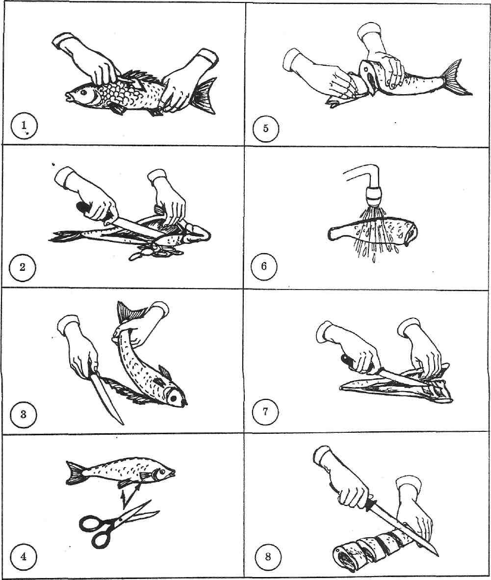 Технологическая схема разделки рыбы